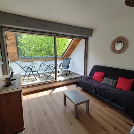 T2 Spacieux Et Lumineux Avec 2 Terrasses Sud Et Est, Proche Centre Village * Saint-Lary-Soulan